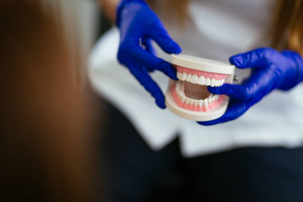 Best Full Mouth Reconstruction  in Monroe, MI